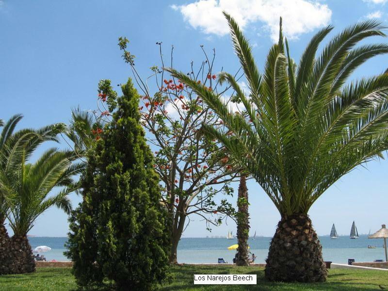 Beautiful 1 Bedroom Apartment In Roda, Los Alcazares. Larger Than Average. Ngoại thất bức ảnh